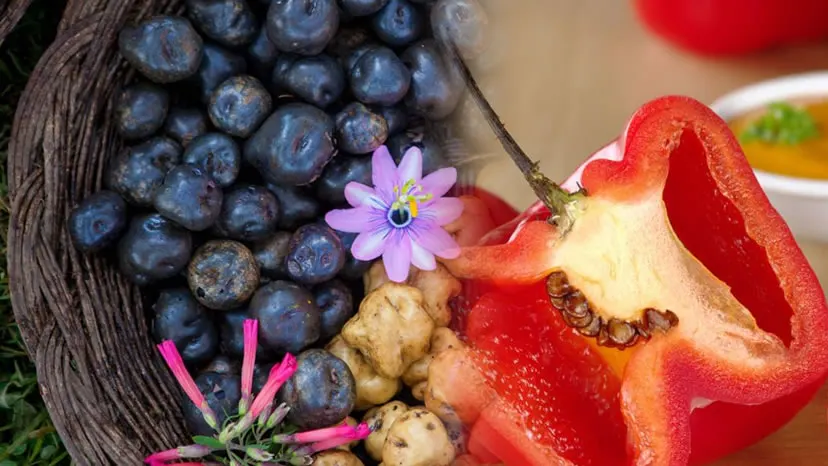 Ingredientes Frescos